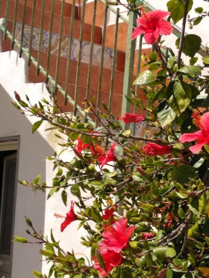 Casale Hibiscus Santa Maria del Focallo Exterior foto